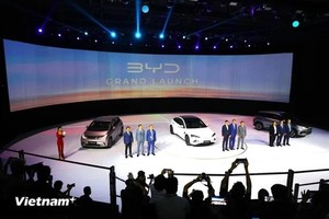 Chinese EV maker introduces brand in Việt Nam