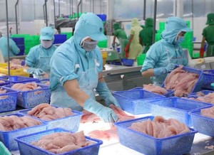 Pangasius exports expected to recover in the last months of the year