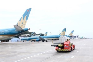 Airlines urged to increase their fleets