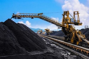 Việt Nam poised to become world's fifth-largest coal importer by 2024: IEA