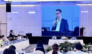 Weak logistics infrastructure hinders trade in Southeast Việt Nam