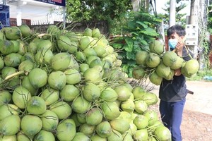 Fruit, vegetable exports up sharply in seven months