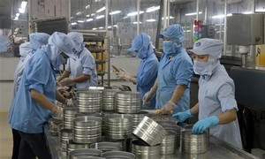 Processed industrial exports rise by 15.4% in seven months