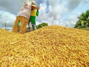 Rice exports expected to exceed $5 billion