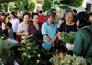 Phú Mỹ Hưng to organise annual Green Day 2024