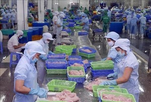 Việt Nam emerges as EU's top ASEAN exporter under EVFTA
