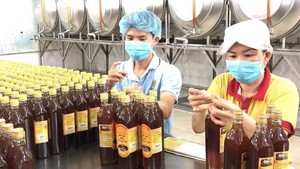 US DOC announces second administrative review of the anti-dumping of Vietnamese honey