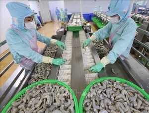 Fisheries export in July highest since early 2024