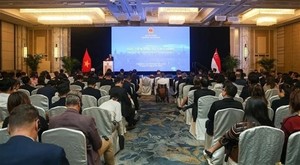 Singaporean investors seek partnership opportunities in Việt Nam