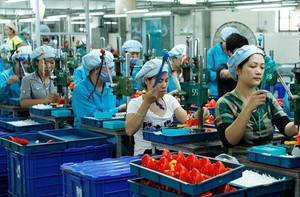 MoF proposes lower tax rate for micro and small enterprises