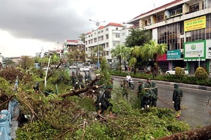 Insurance companies offer compensation for clients affected by Typhoon Yagi