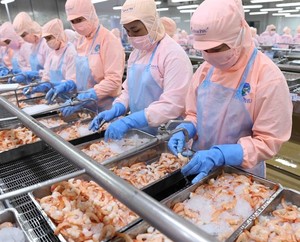 Seafood stocks vary in performance