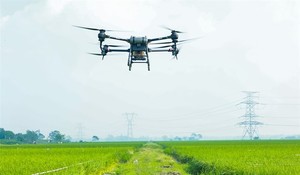 Drone pesticide spraying takes off at training session