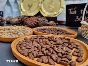 New freeze-dried instant coffee factory to be built in Bình Định