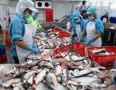 Việt Nam ranks fifth among aquatic product suppliers for Singapore