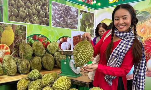 Exporting Việt Nam's pride