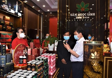 Vietnamese businesses bring ginseng closer to consumers